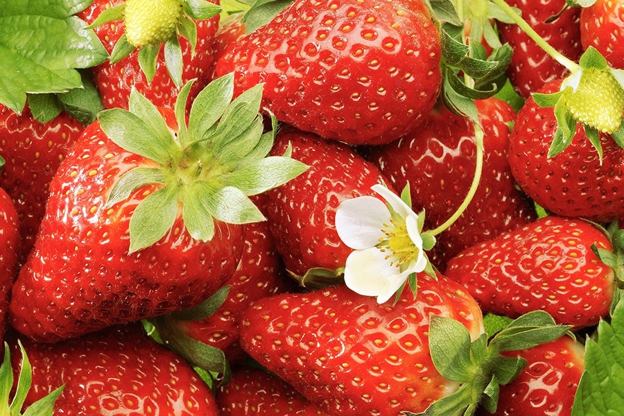 Wissenswertes über Erdbeeren